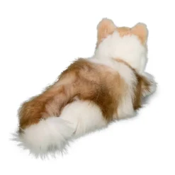 Kiki Ragdoll Cat