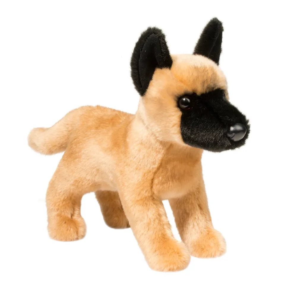 Klaus Belgian Malinois
