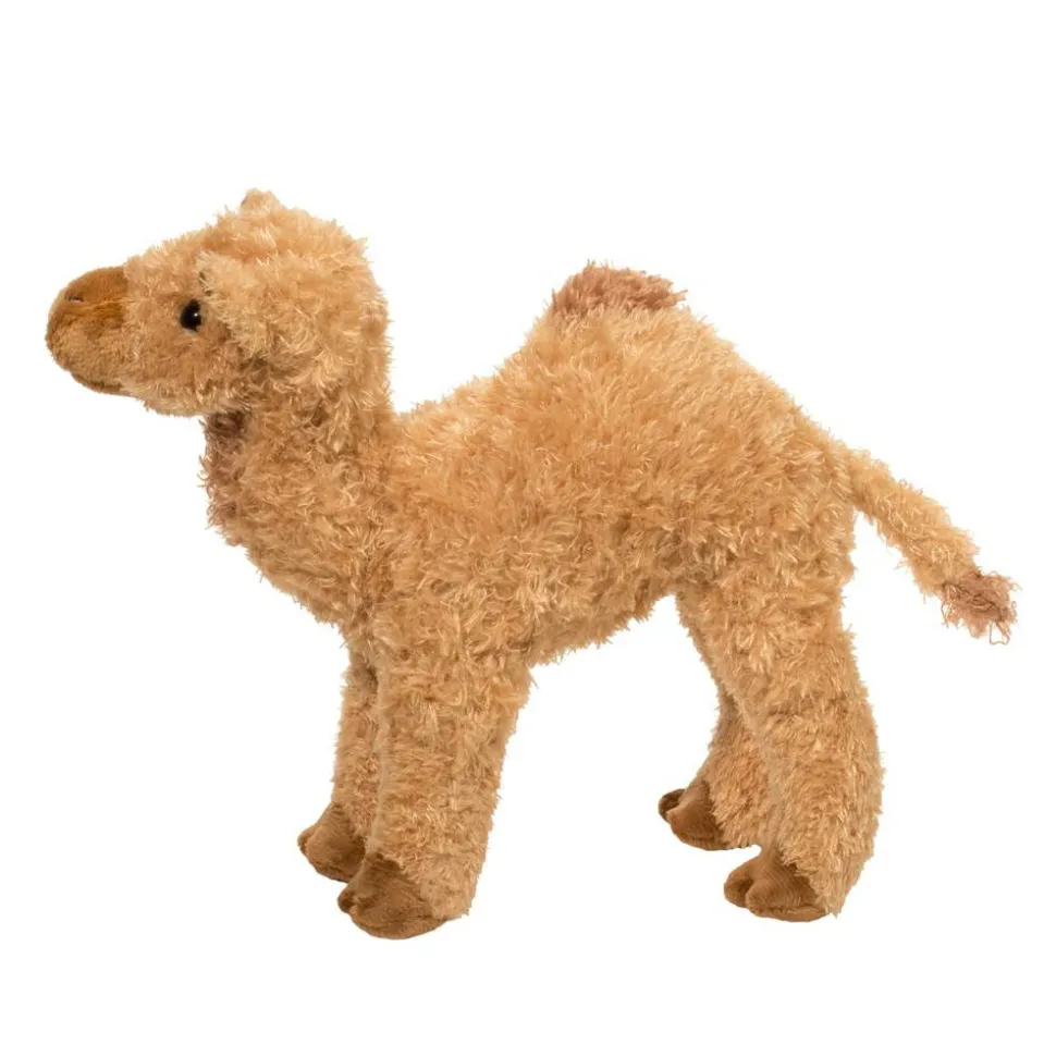 Lawrence Camel