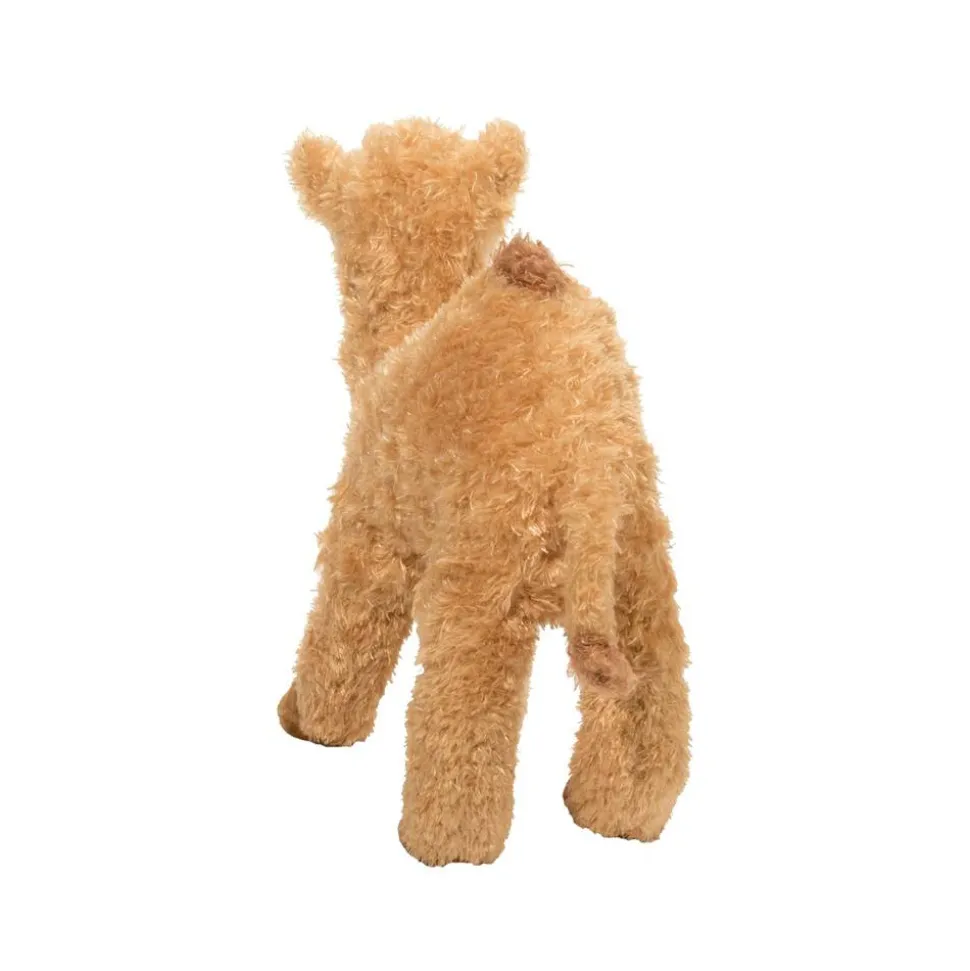 Lawrence Camel