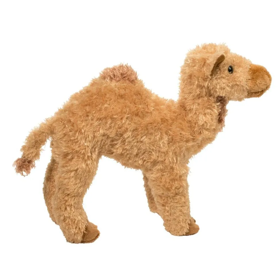 Lawrence Camel