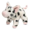 Leroy Black Spotted Pig