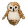 Lil’ Baby Owl