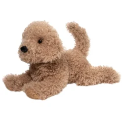 Macaroni Doodle Dog
