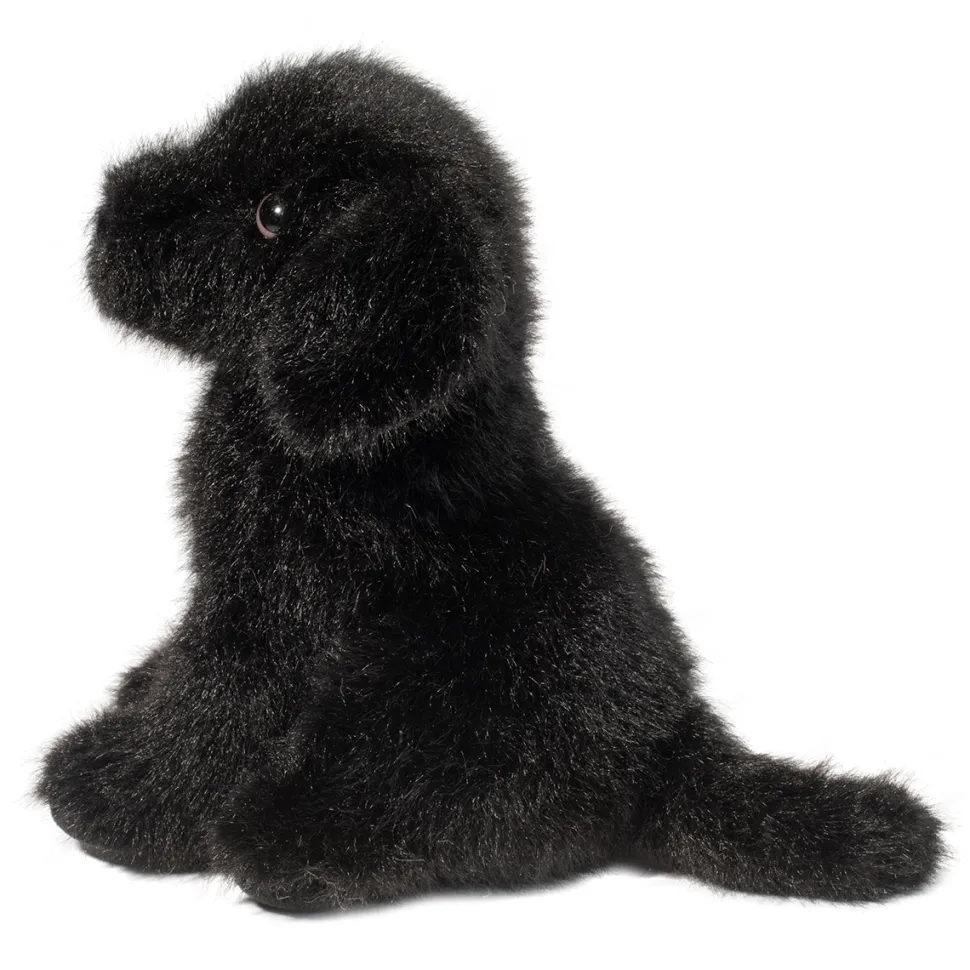 Mini Black Lab