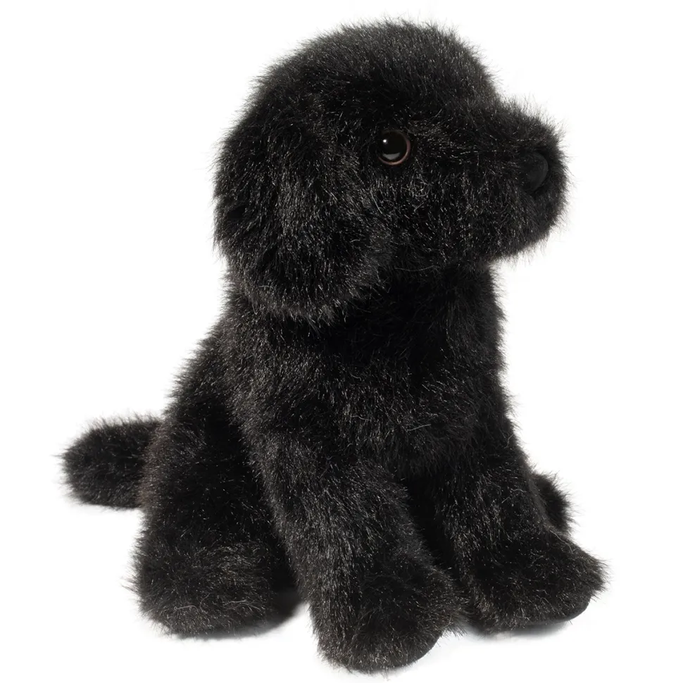 Mini Black Lab