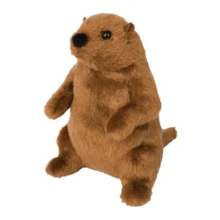 Mr. G Groundhog