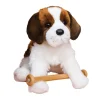 Oma St. Bernard