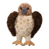 Orion Red-Tailed Hawk
