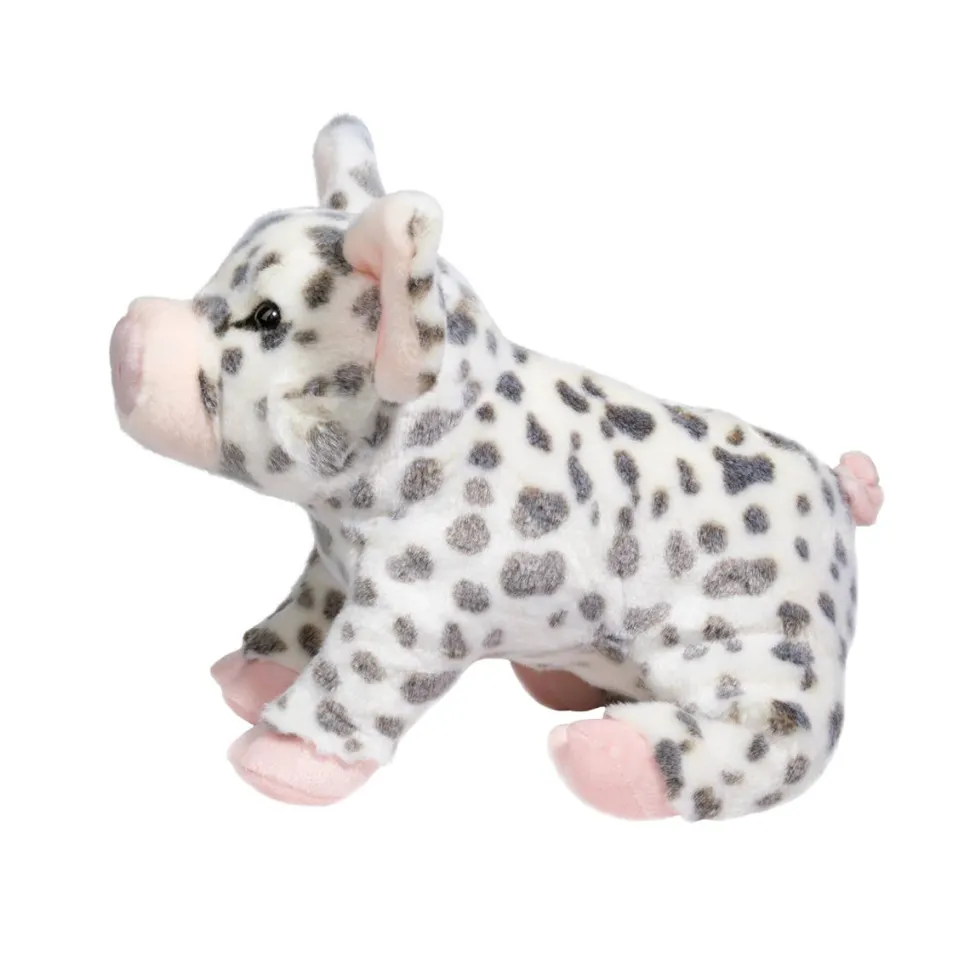 Pauline Spotted Pig, Medium