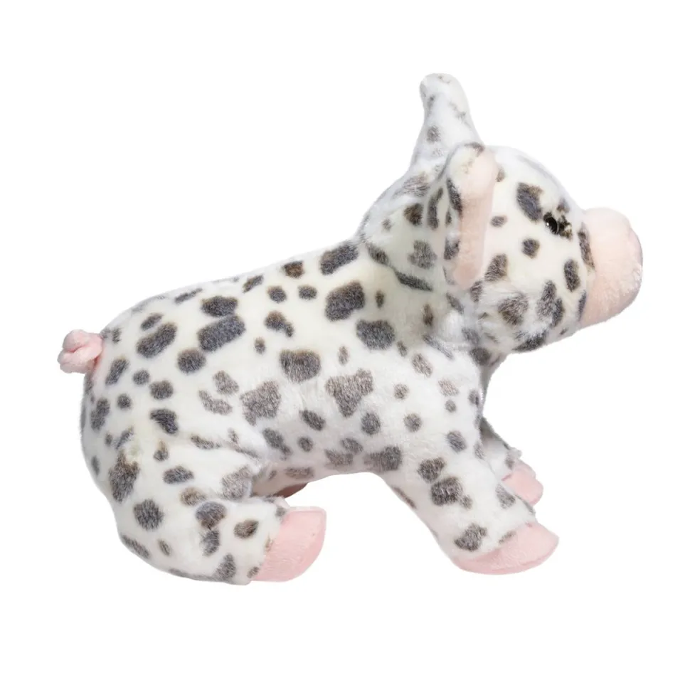 Pauline Spotted Pig, Medium