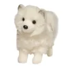 Phoebe Pomsky