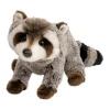 Ringo Raccoon