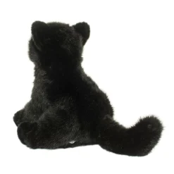 Salem Black Cat