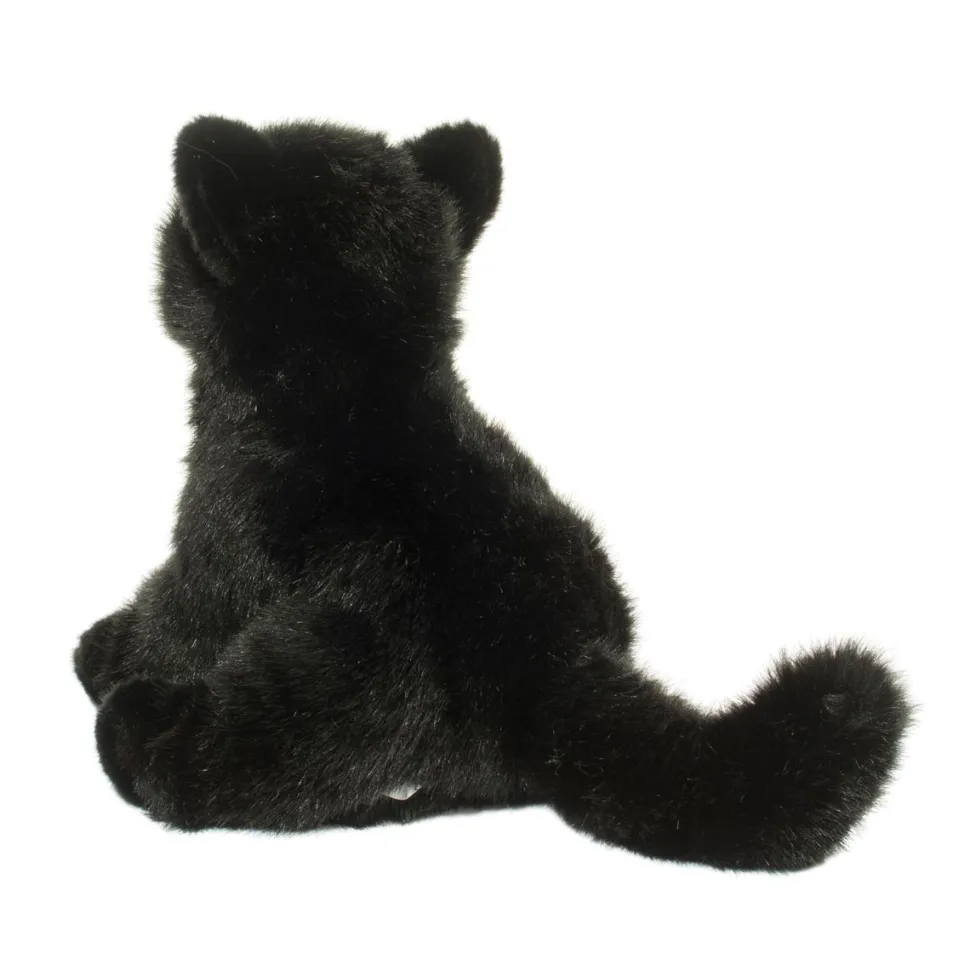 Salem Black Cat