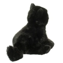 Salem Black Cat