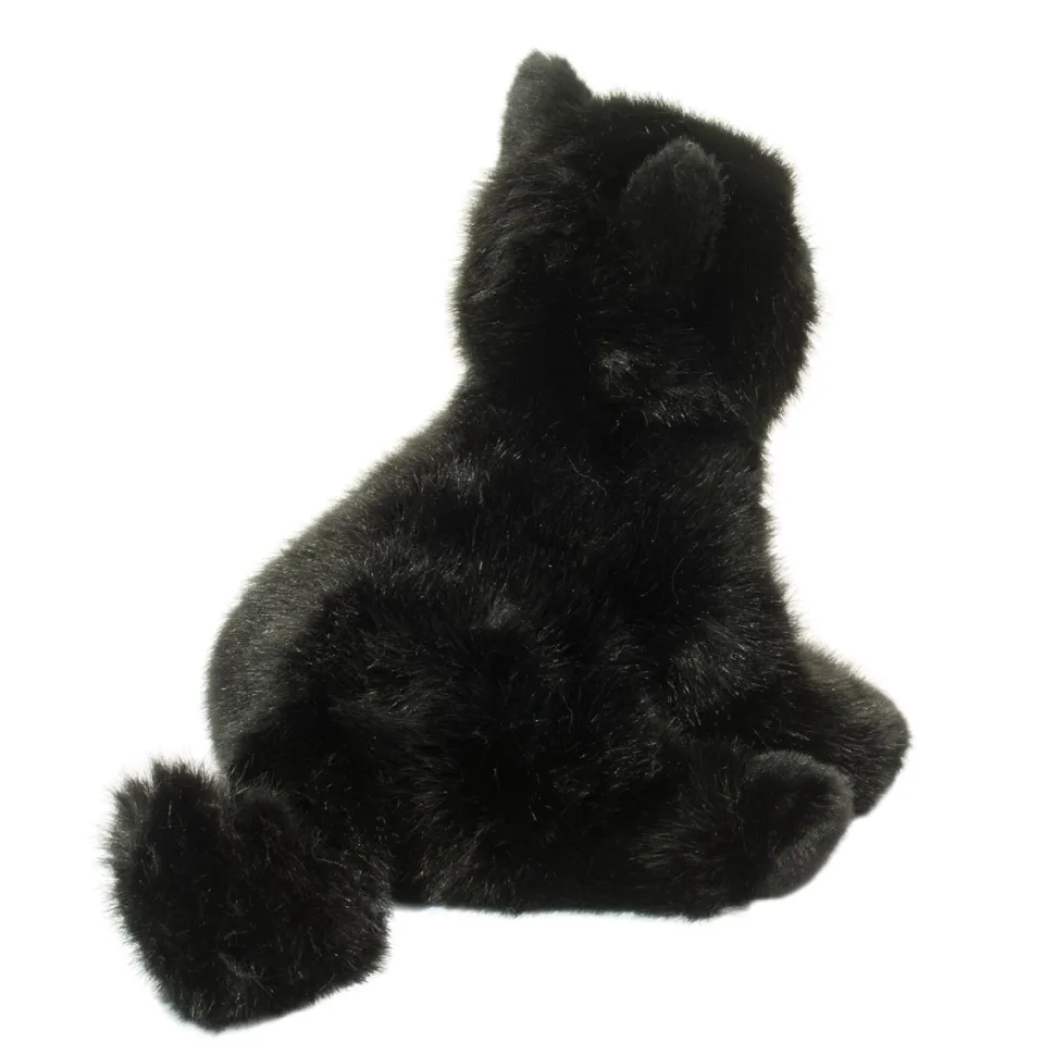 Salem Black Cat