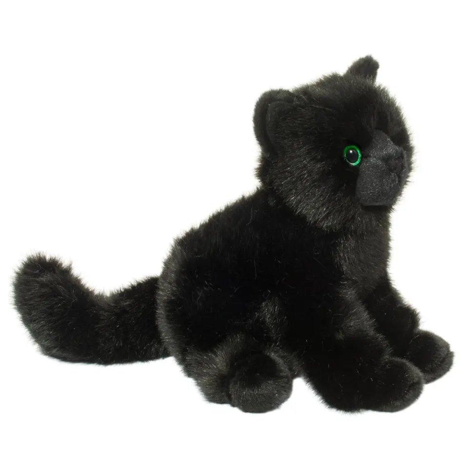 Salem Black Cat