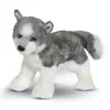 Sasha Husky