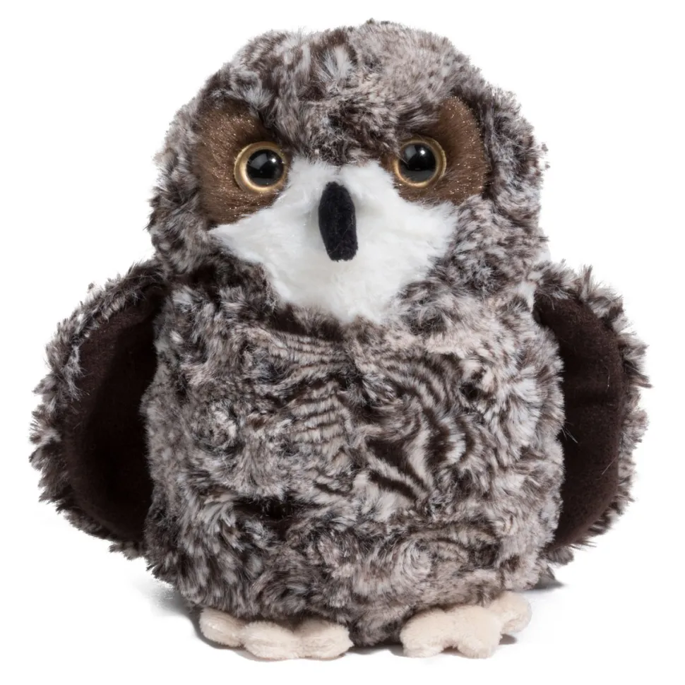 Shrill Saw-Whet Owl
