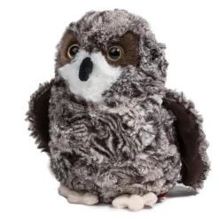 Shrill Saw-Whet Owl