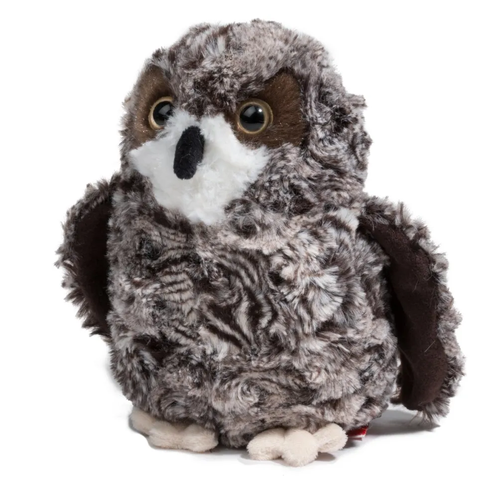 Shrill Saw-Whet Owl
