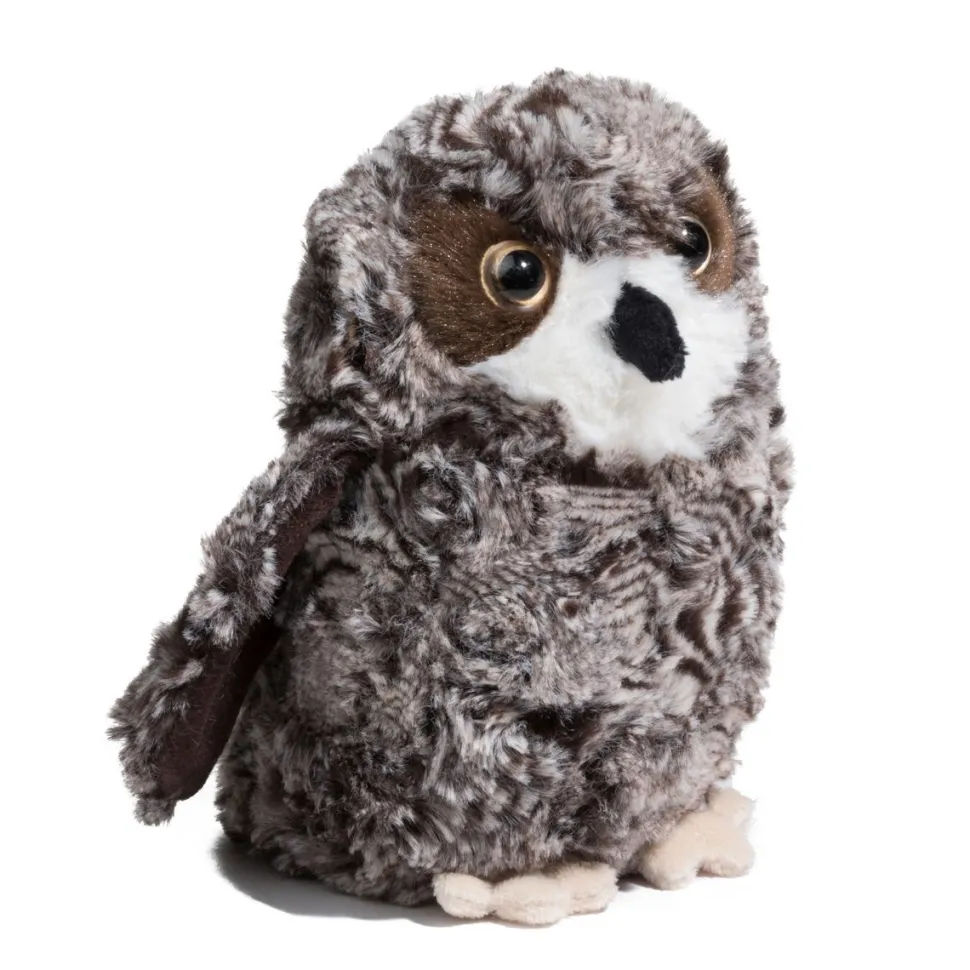 Shrill Saw-Whet Owl