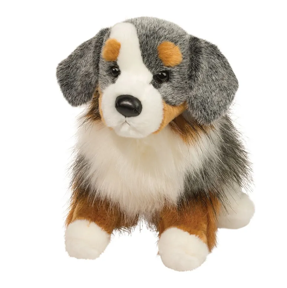 Sinclair Australian Shepherd
