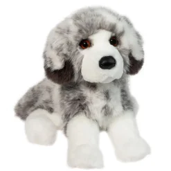 Skylar Australian Shepherd