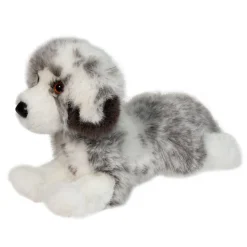 Skylar Australian Shepherd