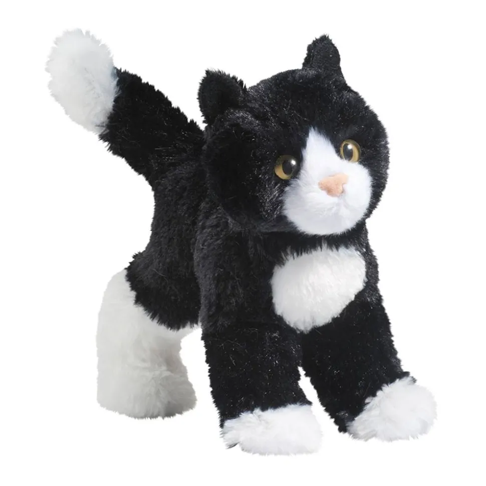 Snippy Black & White Cat