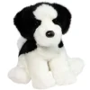 Teefer Shih Tzu