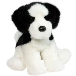 Teefer Shih Tzu