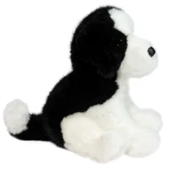 Teefer Shih Tzu