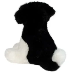 Teefer Shih Tzu