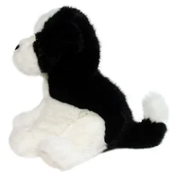 Teefer Shih Tzu