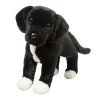 Twister Black Lab/Pit Bull Mix