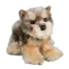 Yettie Yorkie