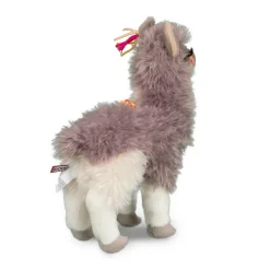 Zephyr Llama