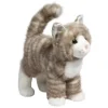 Zipper Gray Tabby Cat