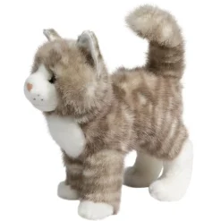Zipper Gray Tabby Cat