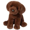Zoom Chocolate Lab