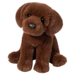 Zoom Chocolate Lab